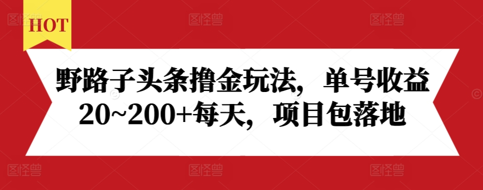 野路子头条撸金玩法，单号收益20~200+每天，项目包落地-随风资源网