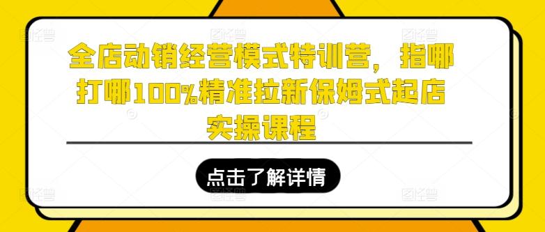 全店动销经营模式特训营，指哪打哪100%精准拉新保姆式起店实操课程-随风资源网