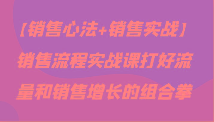【销售心法+销售实战】销售流程实战课打好流量和销售增长的组合拳-随风资源网