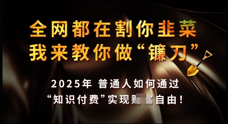 知识付费如何做到月入过W+，2025我来教你做“镰刀”【揭秘】-随风资源网