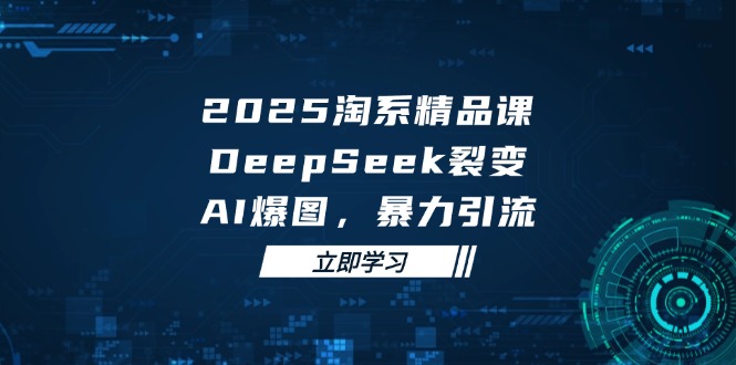 2025 淘系精品课，DeepSeek 裂变，AI 爆图，暴力引流-随风资源网