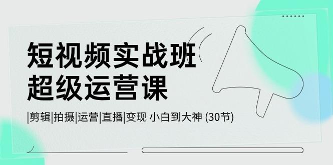 短视频实战班超级运营课 |剪辑|拍摄|运营|直播|变现 小白到大神 (30节)-随风资源网