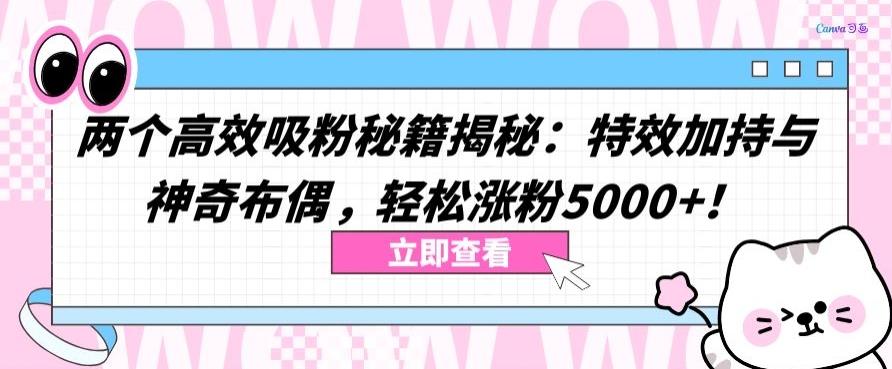 两个高效吸粉秘籍揭秘：特效加持与神奇布偶，轻松涨粉5000+【揭秘】-随风资源网