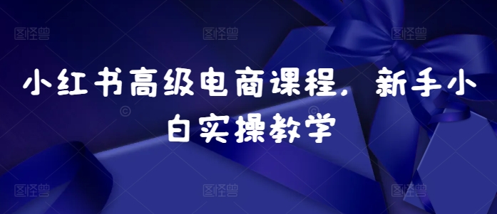 小红书高级电商课程，新手小白实操教学-随风资源网