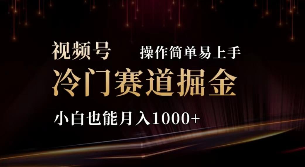 2024视频号冷门赛道掘金，操作简单轻松上手，小白也能月入1000+-随风资源网