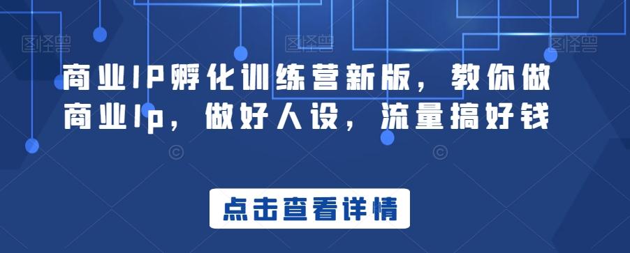 商业IP孵化训练营新版，教你做商业Ip，做好人设，流量搞好钱-随风资源网