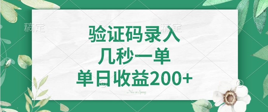 验证码录入，几秒一单，单日收益200+-随风资源网