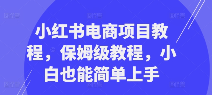 小红书电商项目教程，保姆级教程，小白也能简单上手-随风资源网