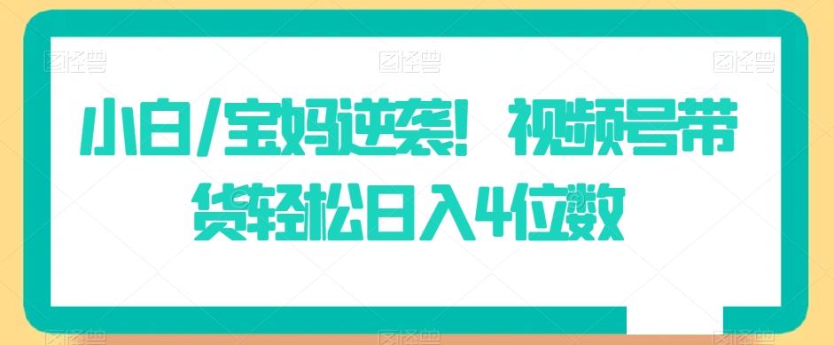 小白/宝妈逆袭！视频号带货轻松日入4位数【揭秘】-随风资源网