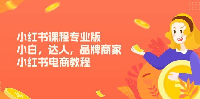 小红书课程专业版，小白，达人，品牌商家，小红书电商教程(15节-随风资源网