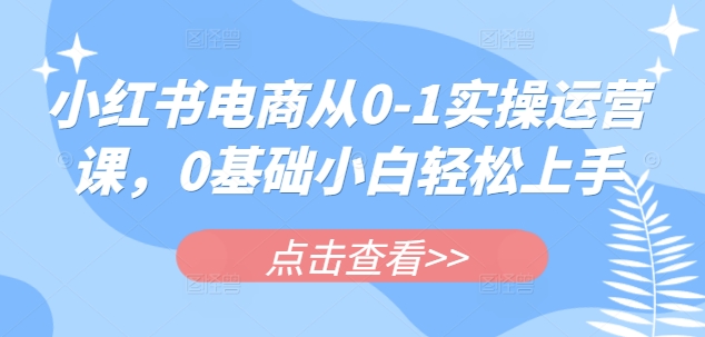 小红书电商从0-1实操运营课，0基础小白轻松上手-随风资源网