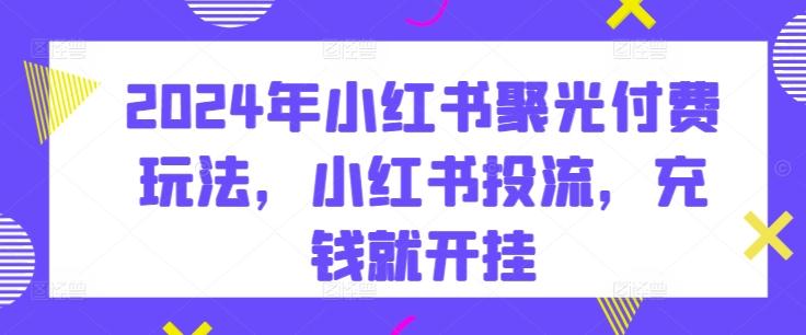 2024年小红书聚光付费玩法，小红书投流，充钱就开挂-随风资源网