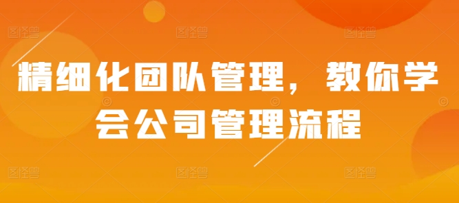 精细化团队管理，教你学会公司管理流程-随风资源网