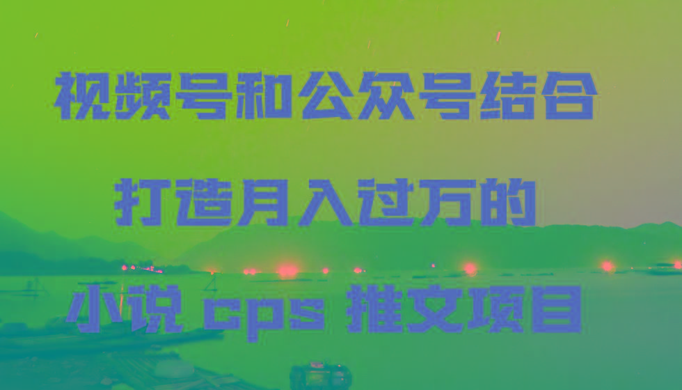 视频号和公众号结合打造月入过万的小说cps推文项目，包括市面上面的各种思路详解-随风资源网
