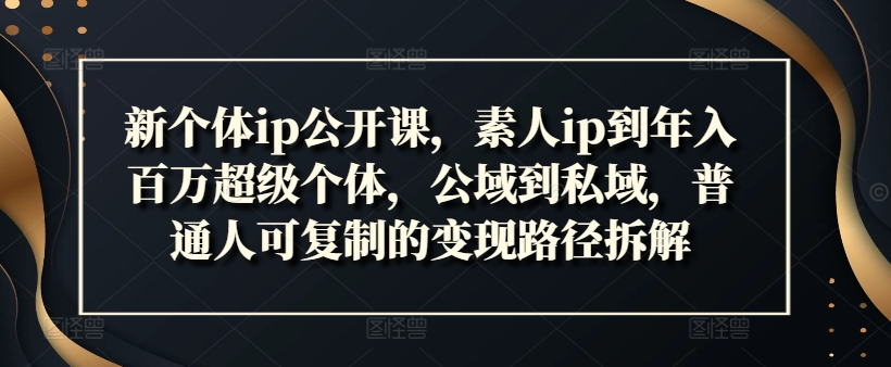 新个体ip公开课，素人ip到年入百万超级个体，公域到私域，普通人可复制的变现路径拆解-随风资源网