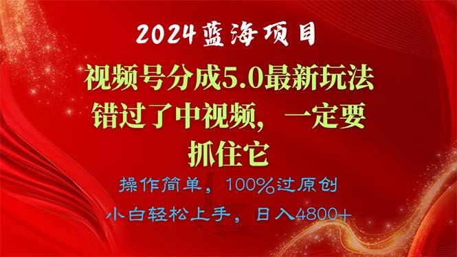 2024蓝海项目，视频号分成计划5.0最新玩法，错过了中视频，一定要抓住…-随风资源网