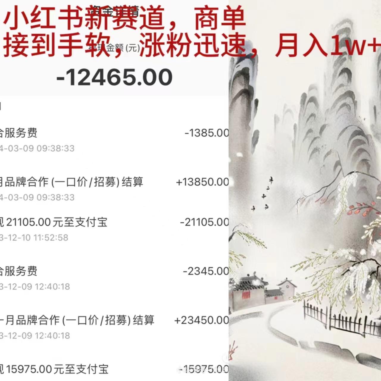 (9476期)小红书新赛道，商单接到手软，涨粉迅速，月入1w+-随风资源网