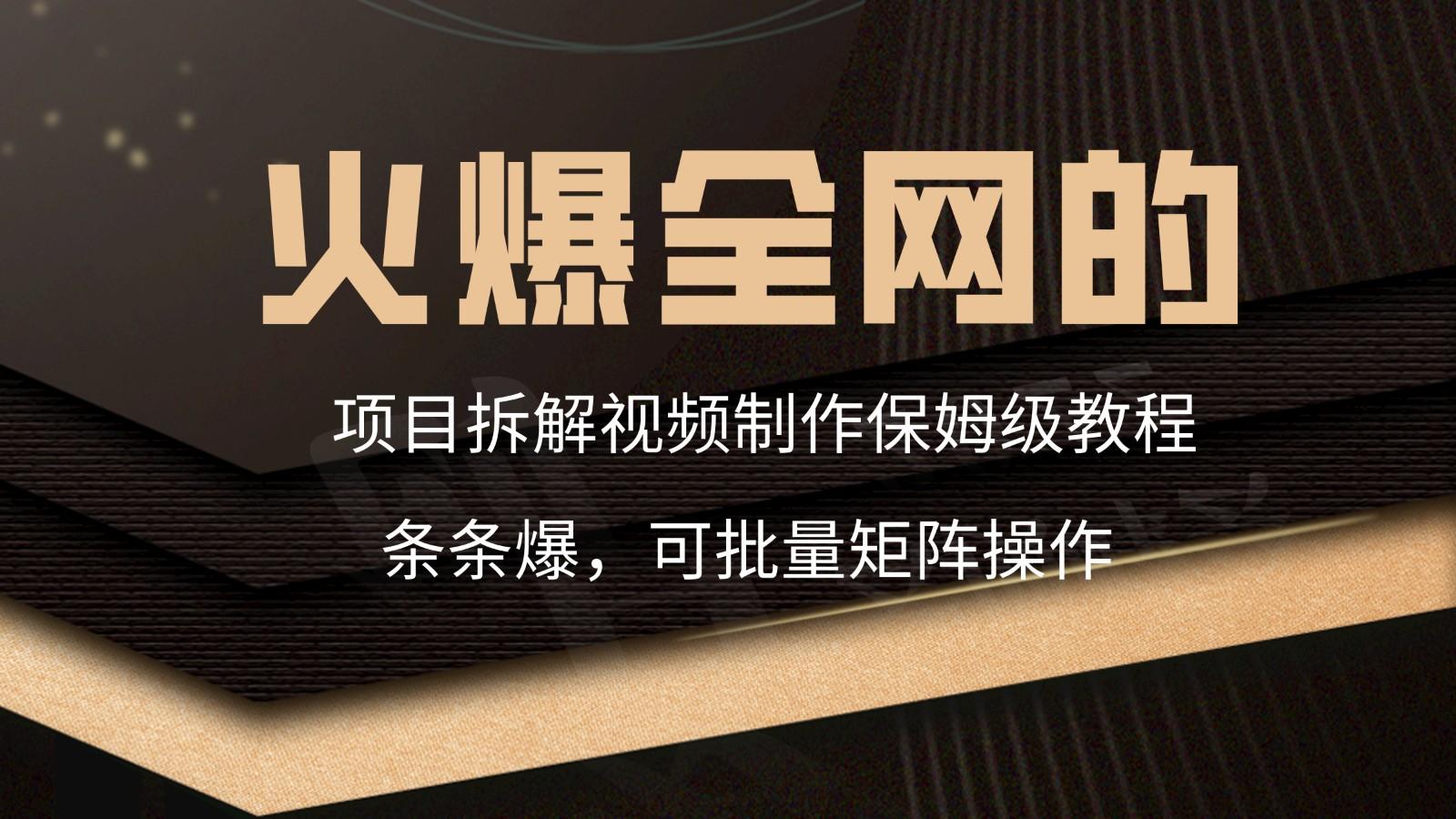火爆全网的项目拆解类视频如何制作，条条爆，保姆级教程-随风资源网