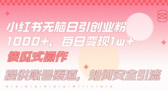 小红书无脑每日引流创业粉500+，小白每天只花半小时，躺赚长尾收益【揭秘】-随风资源网