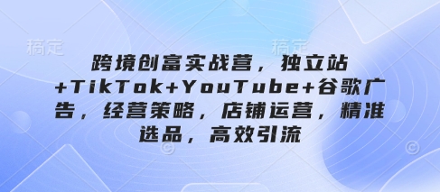 跨境创富实战营，独立站+TikTok+YouTube+谷歌广告，经营策略，店铺运营，精准选品，高效引流-随风资源网