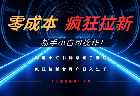 利用小红书种草知乎漏洞，零成本疯狂拉新日入数张，新手小白可操作-随风资源网