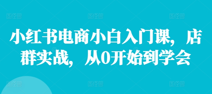 小红书电商小白入门课，店群实战，从0开始到学会-随风资源网