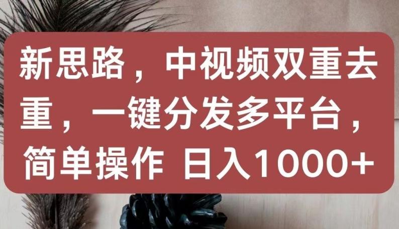 新思路，中视频双重去重，一键分发多平台，简单操作，日入1000+【揭秘】-随风资源网