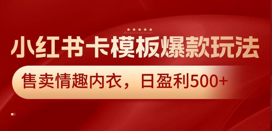 小红书卡模板爆款玩法，售卖情趣内衣，日盈利500+【揭秘】-随风资源网