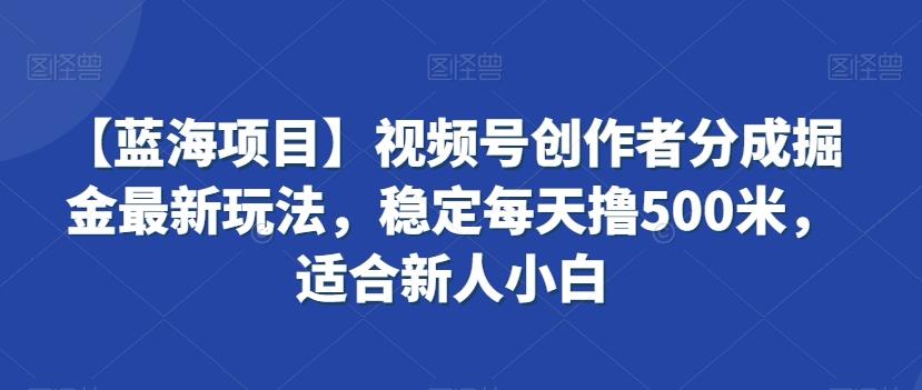 【蓝海项目】视频号创作者分成掘金最新玩法，稳定每天撸500米，适合新人小白【揭秘】-随风资源网