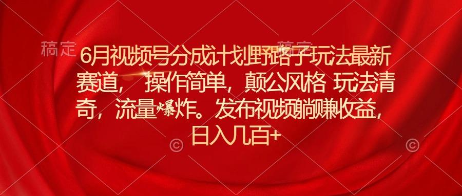 6月视频号分成计划野路子玩法最新赛道操作简单，颠公风格玩法清奇，流…-随风资源网