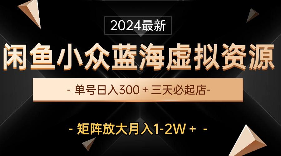 最新闲鱼小众蓝海虚拟资源，单号日入300＋，三天必起店，矩阵放大月入1-2W-随风资源网