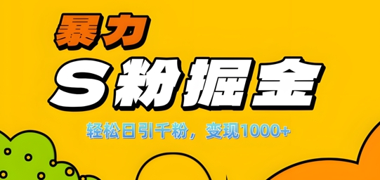 单人单机日引千粉，变现1k+，S粉流量掘金计划攻略【揭秘】-随风资源网