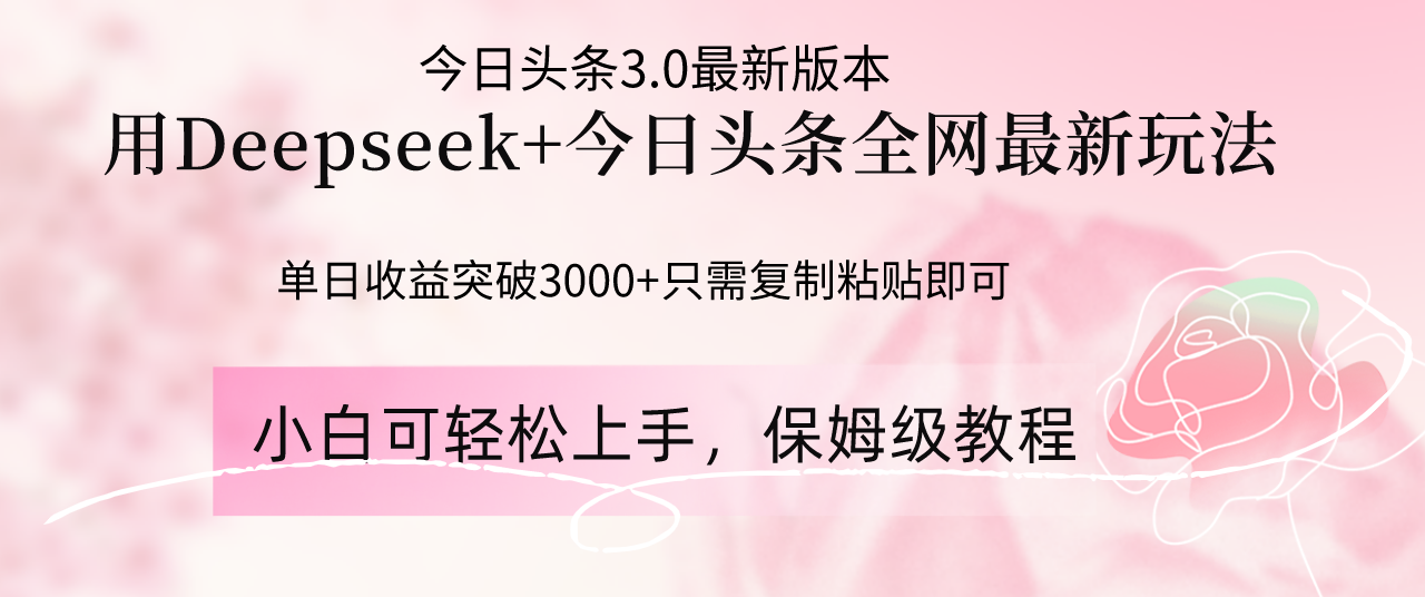 Deepseek结合今日头条全网最新玩法，单日收益突破3000+，只需要简单的…-随风资源网