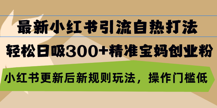最新小红书引流自热打法，轻松日吸300+精准宝妈创业粉，小红书更新后新…-随风资源网