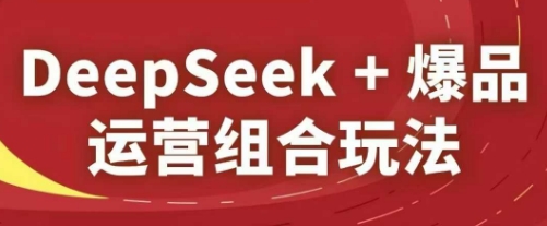 DeepSeek+爆品运营组合玩法，2025淘系精品课-随风资源网