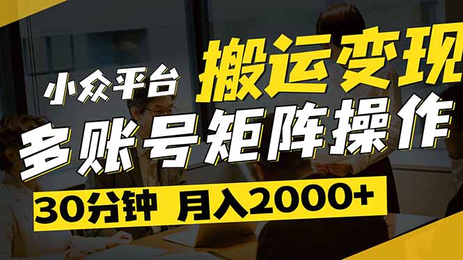 得物平台变现新蓝海！无脑复制热门视频，多账号同步运营，每天半小时躺…-随风资源网