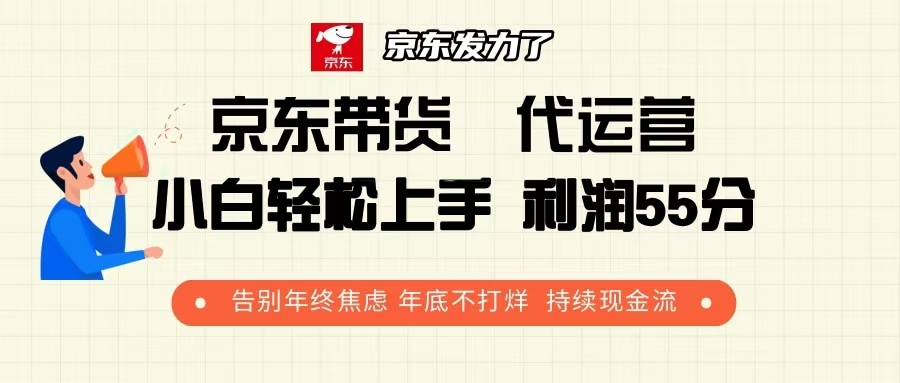 京东带货 代运营 利润55分 告别年终焦虑 年底不打烊 持续现金流-随风资源网