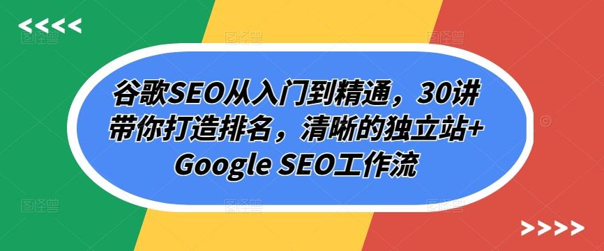 谷歌SEO从入门到精通，30讲带你打造排名，清晰的独立站+Google SEO工作流-随风资源网
