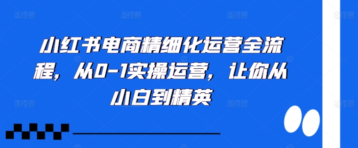 小红书电商精细化运营全流程，从0-1实操运营，让你从小白到精英-随风资源网