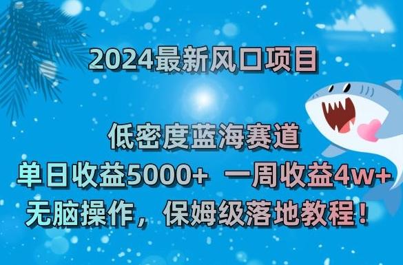 2024最新风口项目，低密度蓝海赛道，单日收益5000+，一周收益4w+！【揭秘】-随风资源网