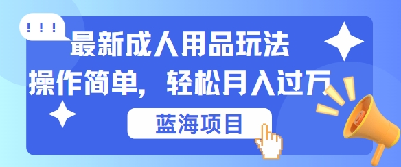 最新成人用品项目玩法，操作简单，动动手，轻松日入几张【揭秘】-随风资源网