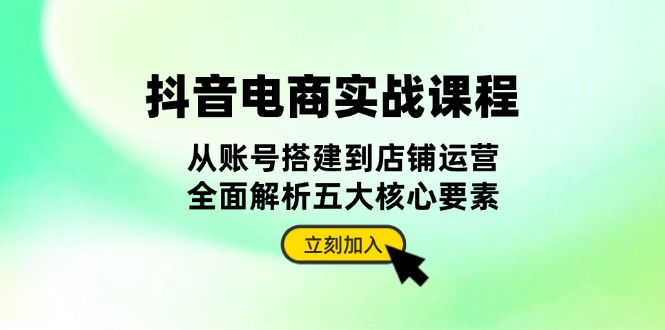 抖音 电商实战课程：从账号搭建到店铺运营，全面解析五大核心要素-随风资源网