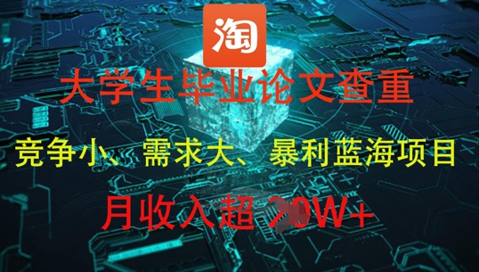 大学生毕业论文查重，暴利蓝海项目，月收入过1W+-随风资源网