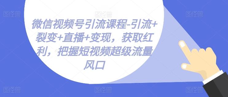 微信视频号引流课程-引流+裂变+直播+变现，获取红利，把握短视频超级流量风口-随风资源网