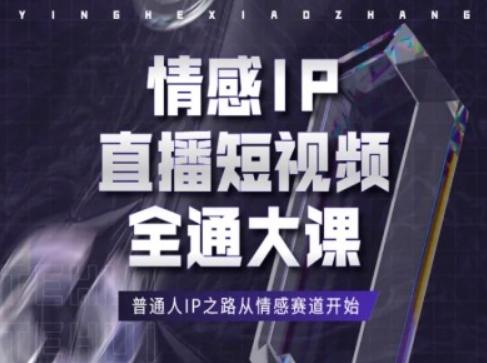 情感IP直播短视频全通大课，普通人IP之路从情感赛道开始-随风资源网