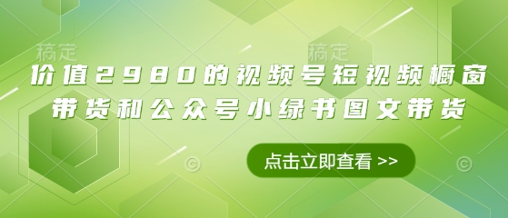 价值2980的视频号短视频橱窗带货和公众号小绿书图文带货-随风资源网