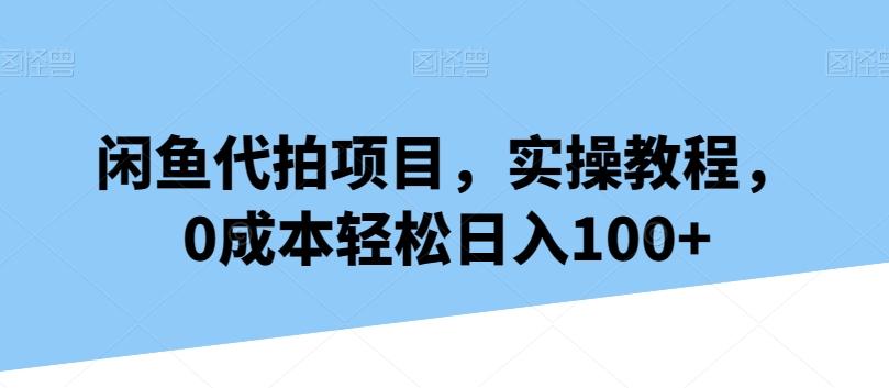 闲鱼代拍项目，实操教程，0成本轻松日入100+-随风资源网