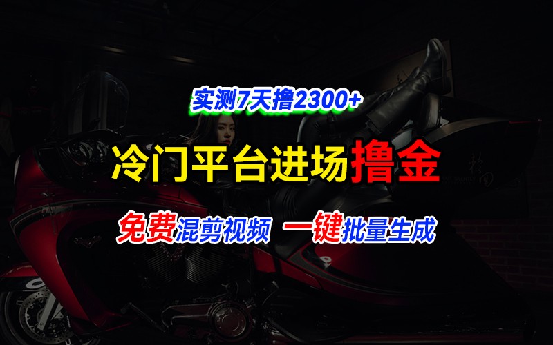 全新冷门平台vivo视频，快速免费进场搞米，通过混剪视频一键批量生成，实测7天撸2300+-随风资源网