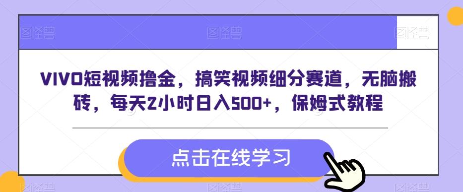 VIVO短视频撸金，搞笑视频细分赛道，无脑搬砖，每天2小时日入500+，保姆式教程-随风资源网