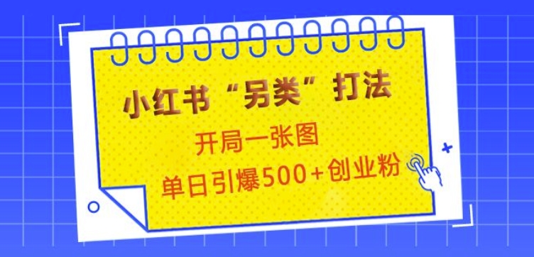 小红书“另类”打法，开局一张图，单日引爆500+精准创业粉【揭秘】-随风资源网